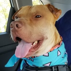 Meet your Posher, Lynn